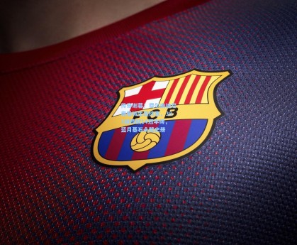 传奇谢幕！费尔南迪尼奥曼城生涯终章，383战铸就14冠丰碑，蓝月基石永载史册