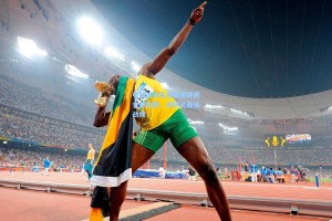 中国跳水队包揽世锦赛全部金牌，创历史最佳战绩