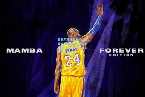 里瓦尔多深度解析，阿隆索雪藏维尼修斯实为妙棋，旨在点燃巴西天才的终极进化