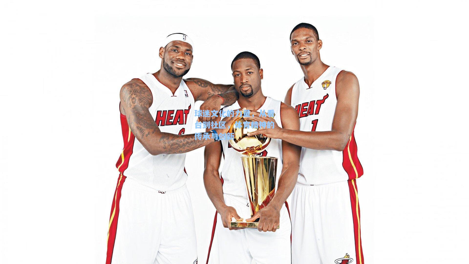 球迷文化的力量,从看台到社区,体育精神的传承与创新